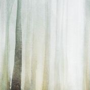 Serie Wonderwall - Dream