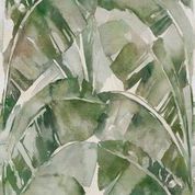 Serie Wonderwall - Jungle