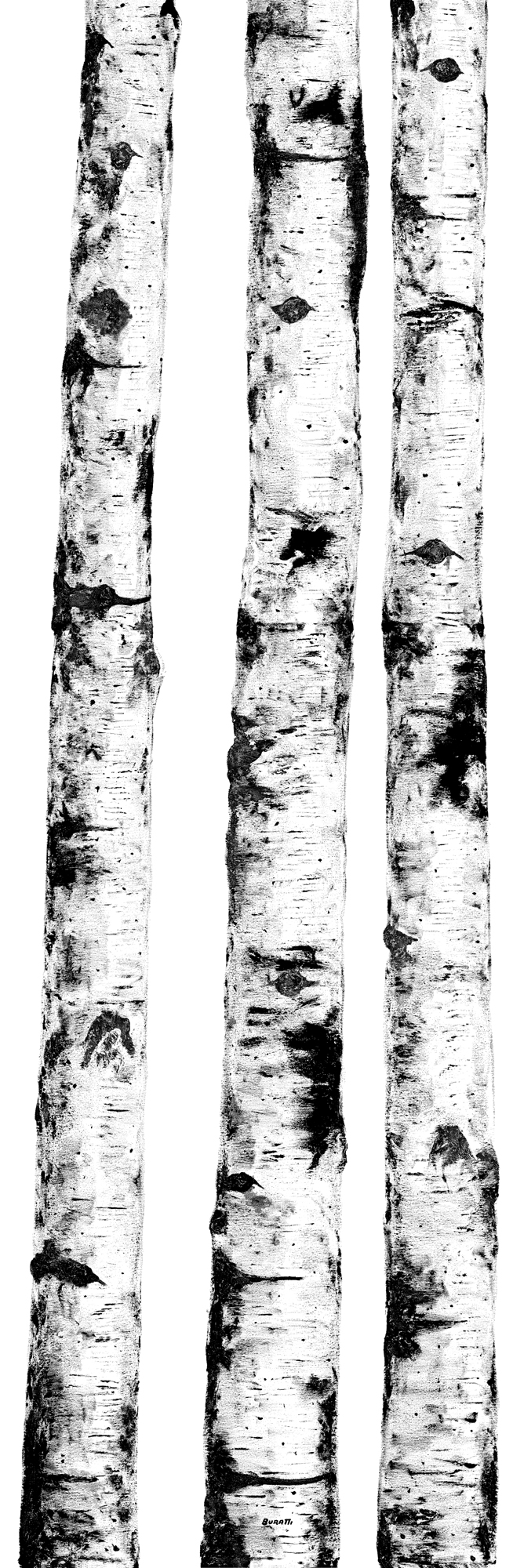 Serie Wonderwall - Rimiti